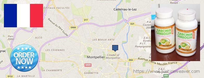 Où Acheter Garcinia Cambogia Extra en ligne Montpellier, France