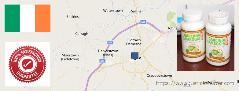 Best Place to Buy Garcinia Cambogia Extract online Naas, Ireland