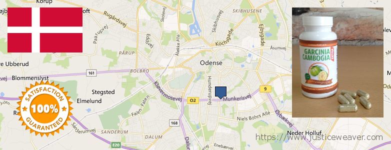 Where to Buy Garcinia Cambogia Extract online Odense, Denmark