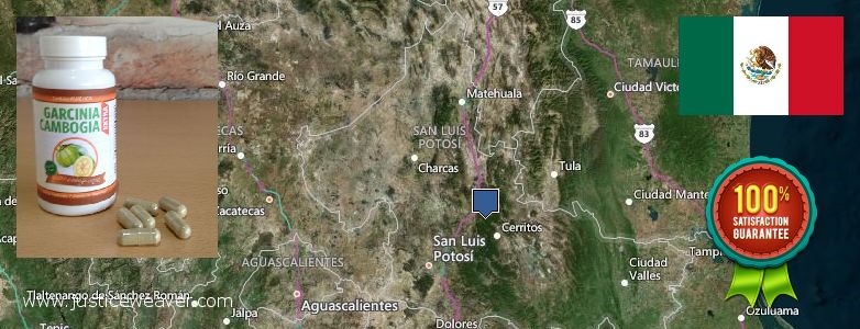 Where to Purchase Garcinia Cambogia Extract online San Luis Potosi, Mexico