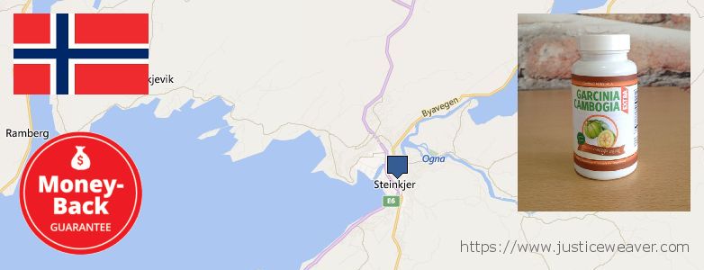 Where to Buy Garcinia Cambogia Extract online Steinkjer, Norway