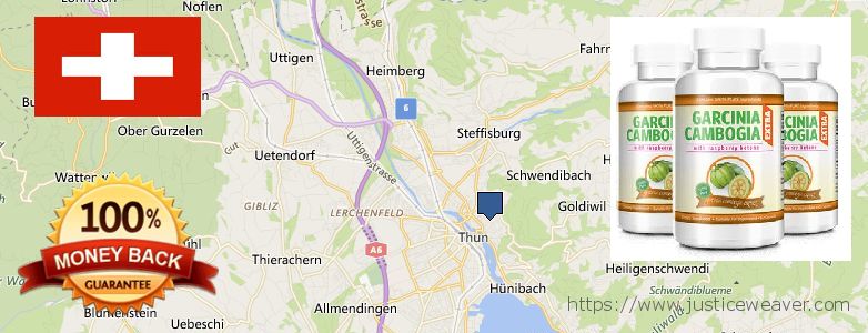 Wo kaufen Garcinia Cambogia Extra online Thun, Switzerland