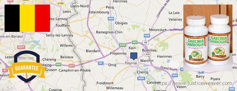 Waar te koop Garcinia Cambogia Extra online Tournai, Belgium