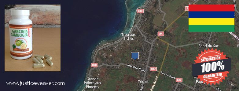 Buy Garcinia Cambogia Extract online Triolet, Mauritius Where Can I Purchase Garcinia Cambogia Extract online Triolet, Mauritius