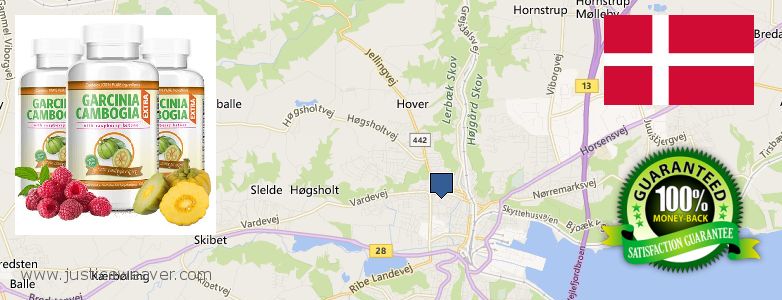 Wo kaufen Garcinia Cambogia Extra online Vejle, Denmark