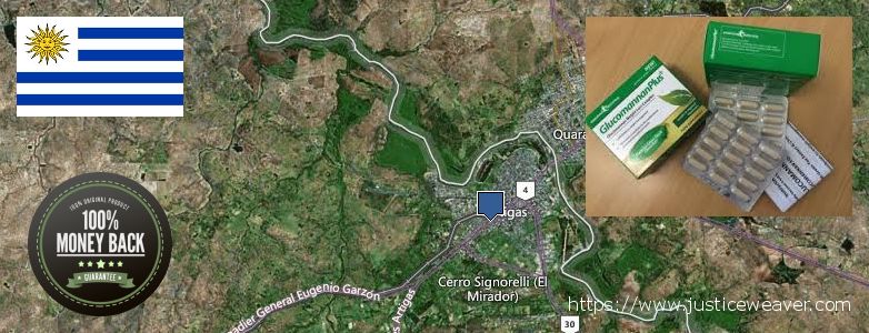 Dónde comprar Glucomannan Plus en linea Artigas, Uruguay