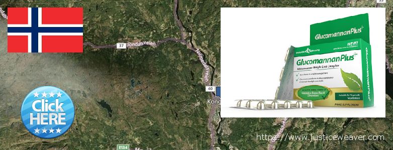 از کجا خرید Glucomannan Plus آنلاین Kongsberg, Norway