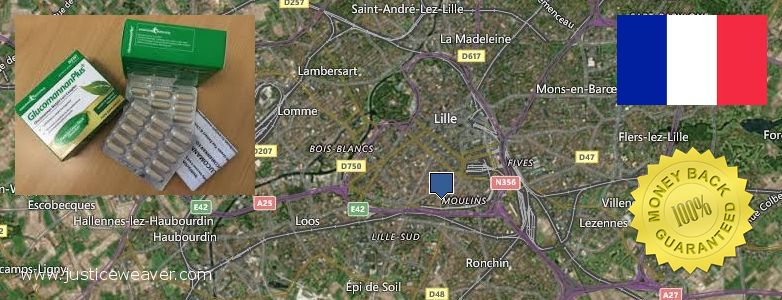 Where Can You Buy Glucomannan online Lille, France