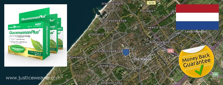 Waar te koop Glucomannan Plus online The Hague, Netherlands