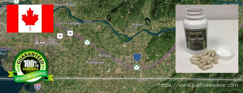 Où Acheter Gynecomastia Surgery en ligne Abbotsford, Canada