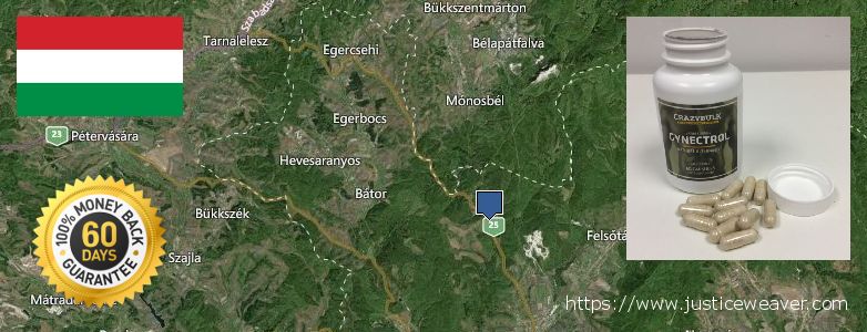 Hol lehet megvásárolni Gynecomastia Surgery online Eger, Hungary