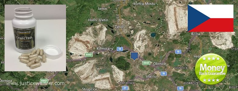 Де купити Gynecomastia Surgery онлайн Most, Czech Republic