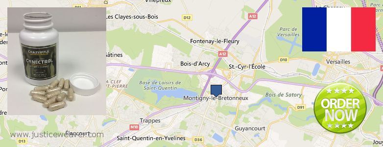 Best Place for Gynecomastia Surgery  Saint-Quentin-en-Yvelines, France