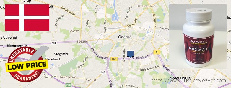 Wo kaufen Nitric Oxide Supplements online Odense, Denmark