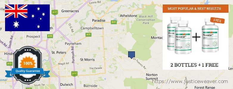 Where Can You Buy Piracetam online Adelaide Hills, Australia