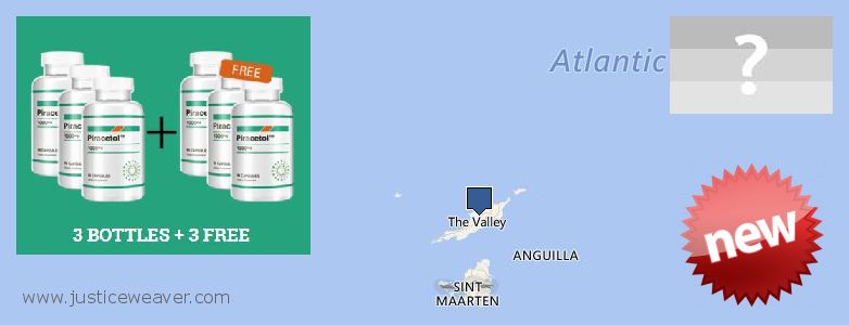 Where Can I Buy Piracetam online Anguilla