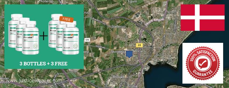 Where to Buy Piracetam online Fredericia, Denmark