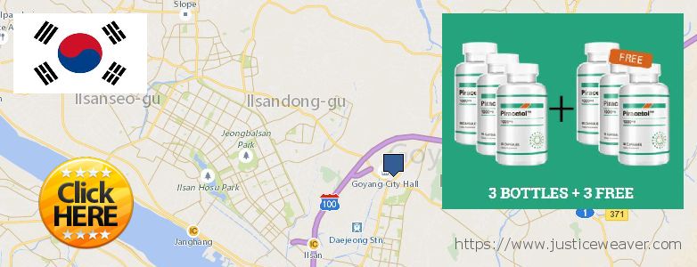 어디에서 구입하는 방법 Piracetam 온라인으로 Goyang-si, South Korea