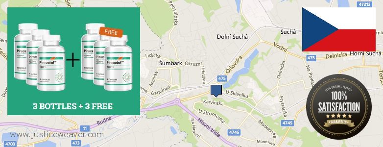 Къде да закупим Piracetam онлайн Havirov, Czech Republic