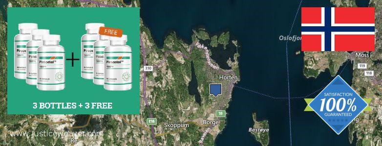 Jälleenmyyjät Piracetam verkossa Horten, Norway