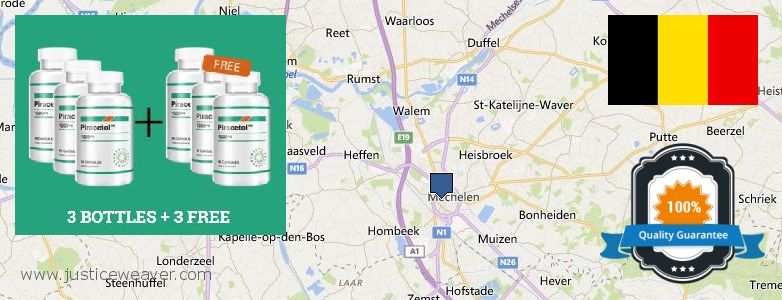 Where to Buy Piracetam online Mechelen, Belgium