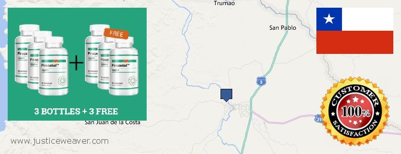 Where to Buy Piracetam online Osorno, Chile