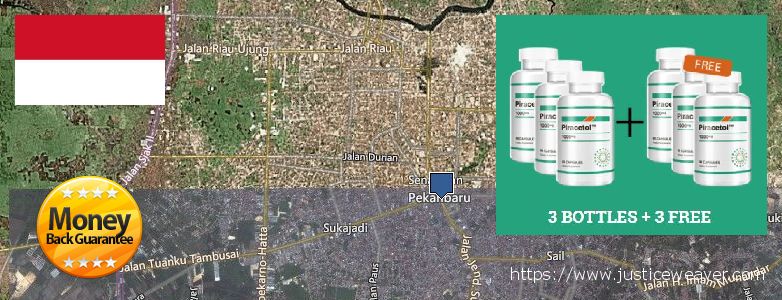 Where to Buy Piracetam online Pekanbaru, Indonesia