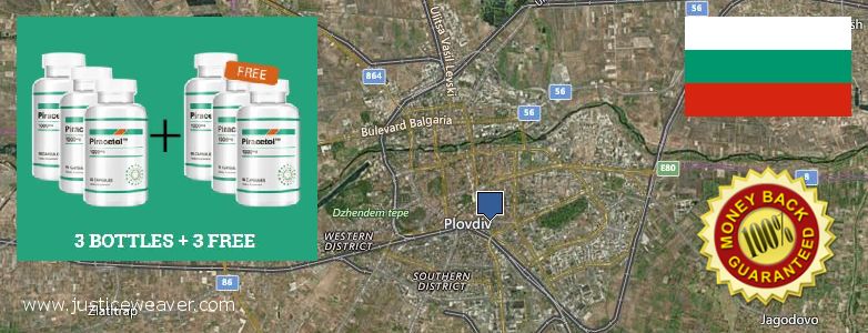 Къде да закупим Piracetam онлайн Plovdiv, Bulgaria