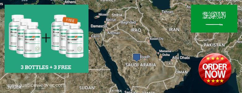 어디에서 구입하는 방법 Piracetam 온라인으로 Saudi Arabia