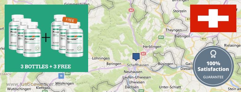 Wo kaufen Piracetam online Schaffhausen, Switzerland