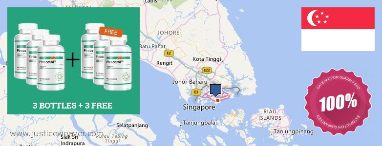 Hvor kan jeg købe Piracetam online Singapore