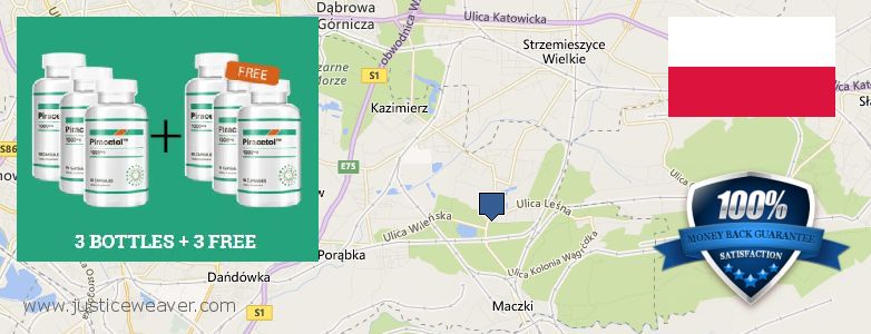 איפה לקנות Piracetam באינטרנט Sosnowiec, Poland