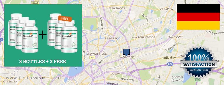 Where to Purchase Piracetam online Wandsbek, Germany