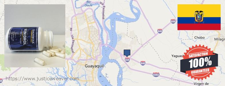 Where to Buy Winstrol Stanozolol online Eloy Alfaro, Ecuador