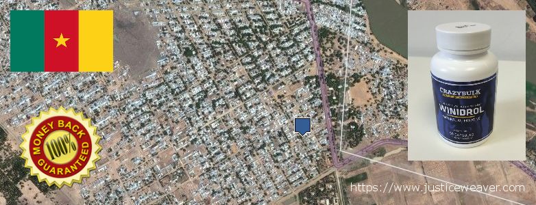 Buy Winstrol Stanozolol online Kousseri, Cameroon Where to Purchase Winstrol Stanozolol online Kousseri, Cameroon