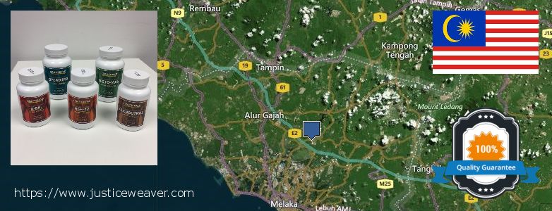 Where to Buy Winstrol Stanozolol online Malacca, Malaysia