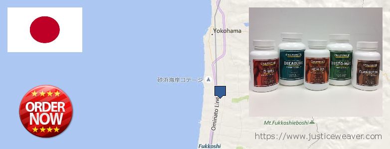 どこで買う Stanozolol Alternative オンライン Yokohama, Japan
