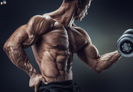 Di mana Anda Boleh Beli Clenbuterol di Niger